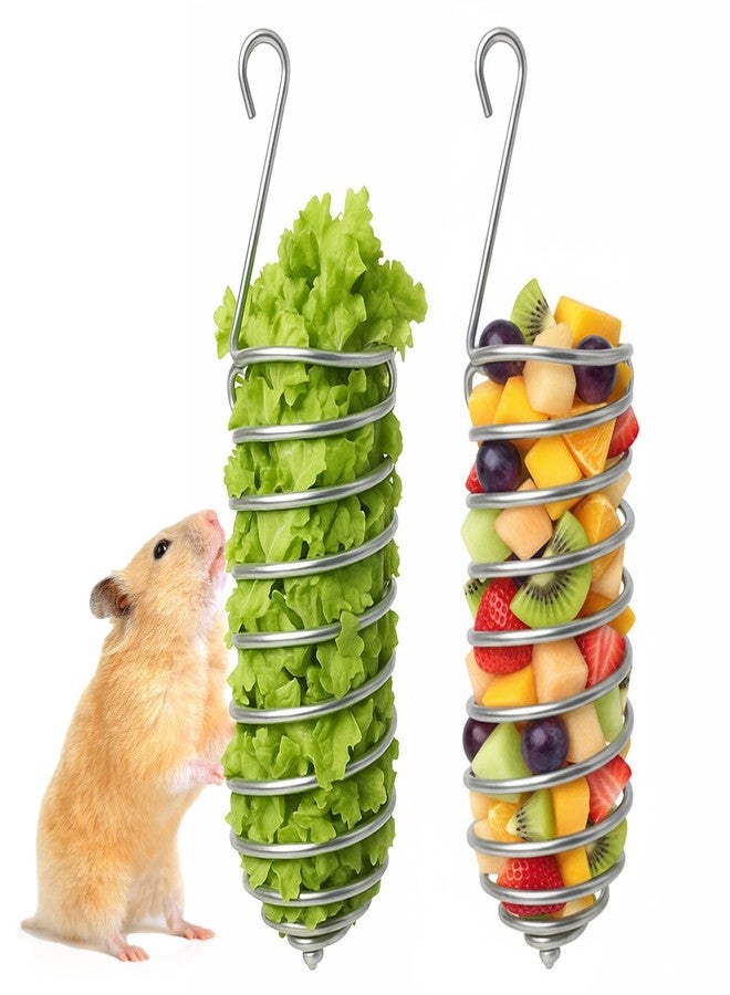 Hpmjz 2Pcs Rat Enrichment Toys Stainless Steel Bird Food Holder Rat Parrot Foraging Toy Hanging Rodent Toy Fruit Vegetable Holder Puzzle Toys Slow Feeder Parakeet Foraging Mice Cage Accessories - Image 1